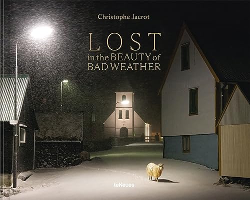 Omslaget til Lost in the Beauty of Bad Weather af Christophe Jacrot