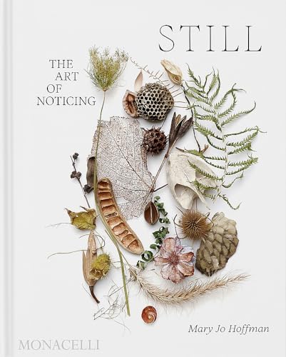 Omslaget til STILL: The Art of Noticing af Mary Jo Hoffman