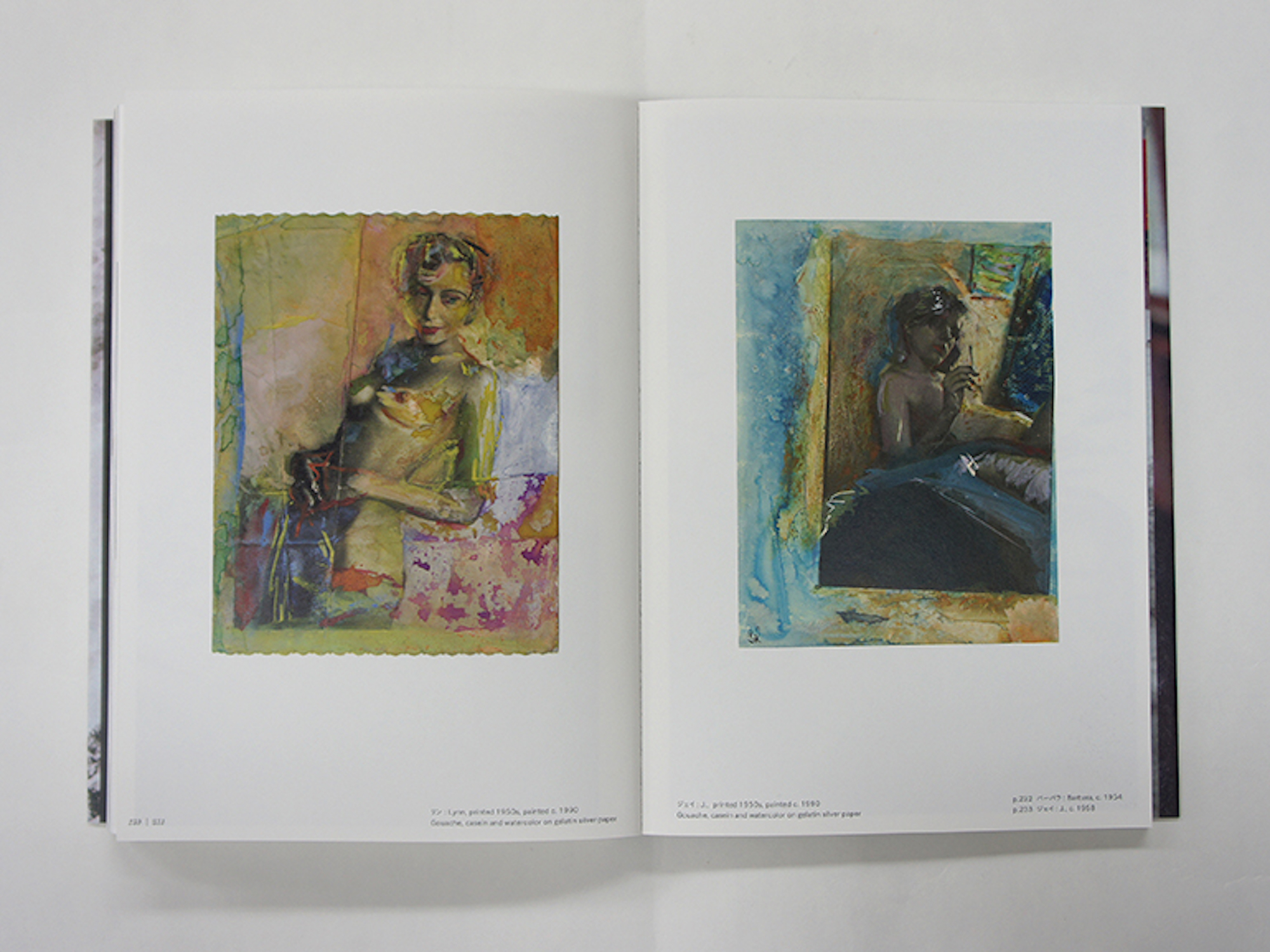 Opslag fra All About Saul Leiter med to farverige malerier