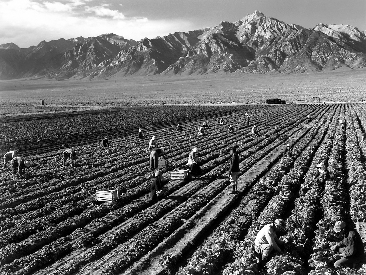 Farm Workers and Mount Williamson af Ansel Adams