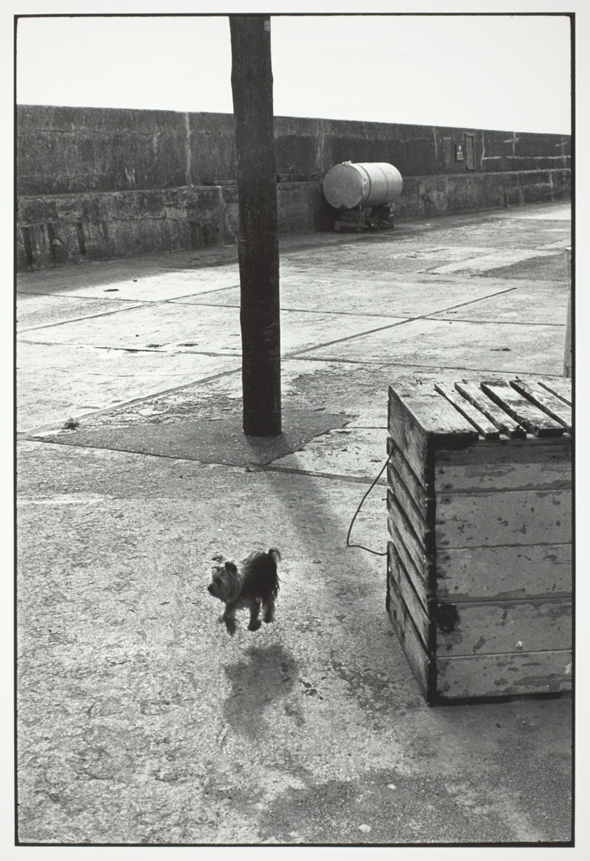 Ballycotton i Irland fotograferet af Elliott Erwitt
