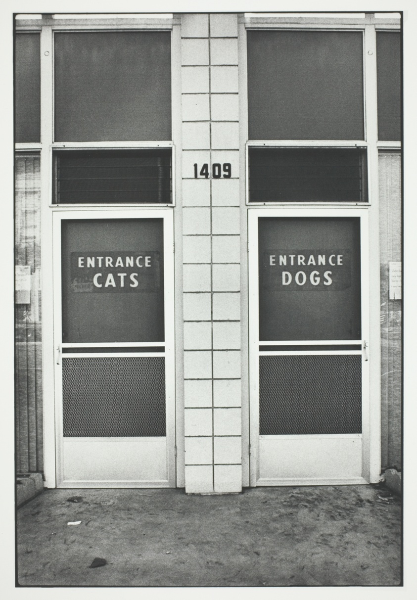 Katte og hunde i Alabama fotograferet af Elliott Erwitt