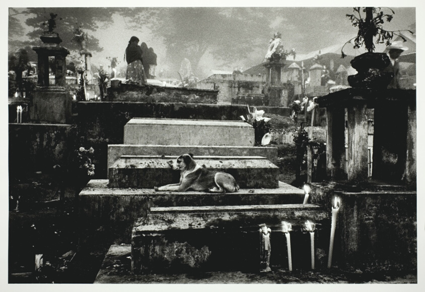 Fotografi fra Mexico af Sebastião Salgado