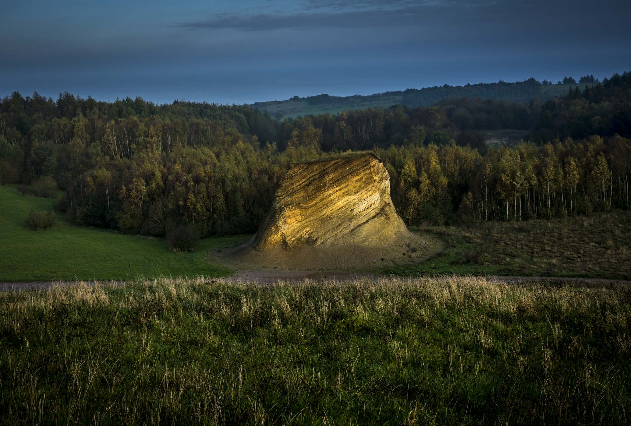 Bispehuen på Fur fotograferet af Steffen Jensen